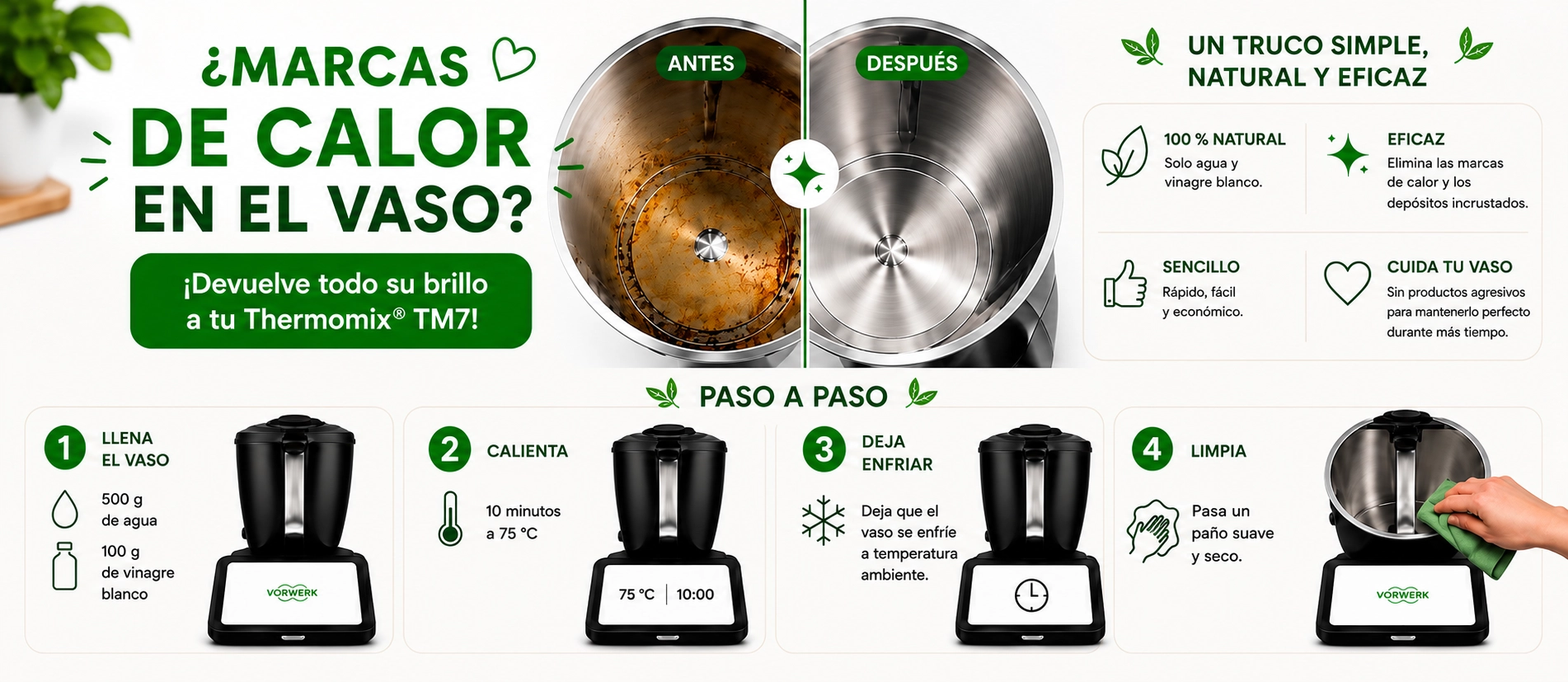 Cómo eliminar las marcas de calor del vaso Thermomix® TM7 de forma fácil y natural