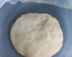 Step <p>Sacar la masa y poner en un bol engrasado en aceite y tapar dejar reposar 45 ‘ o hasta que doble el volumen </p> illustration