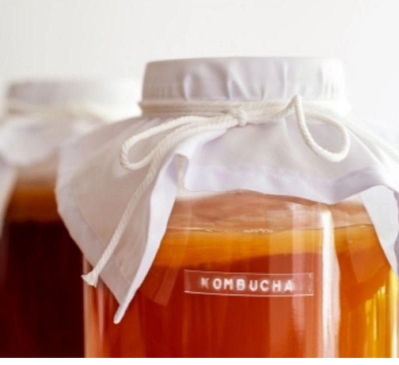 Té kombucha con Thermomix en casa (Receta rápida)