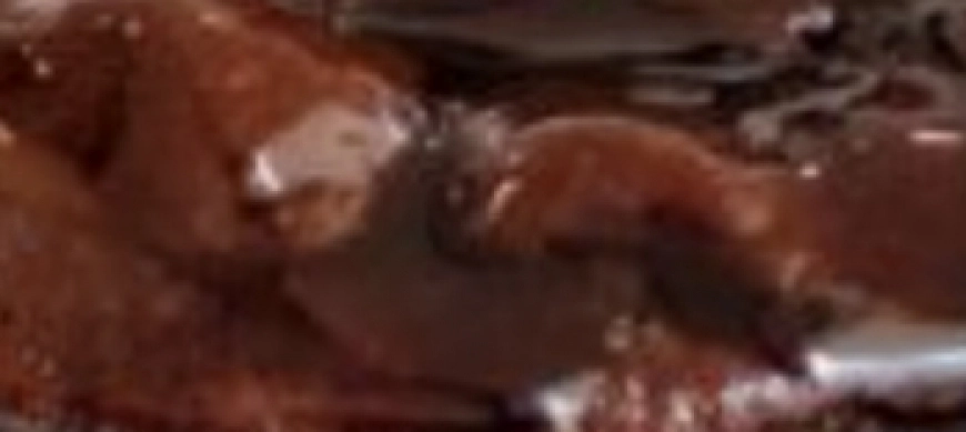 Volcán de chocolate light y sin lactosa