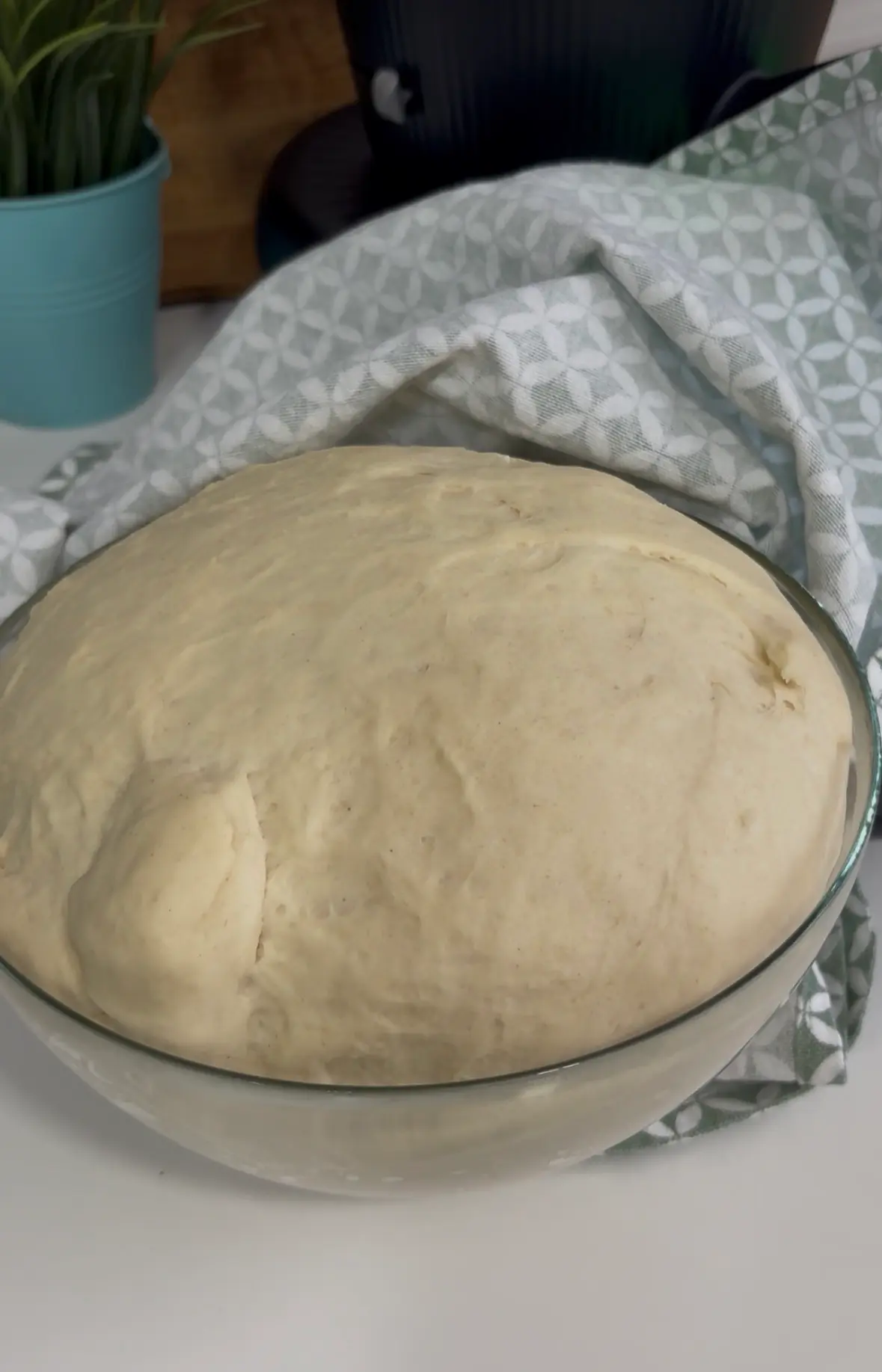 Step -Al acabar el tiempo sacamos del vaso y damos forma de bola, ponemos en el bol, tapamos y dejamos fermentar 1 hora
( paciencia) illustration