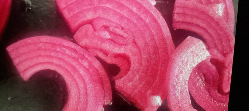 Dale color a tus platos!